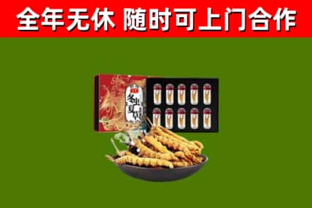 三门县回收冬虫夏草价格